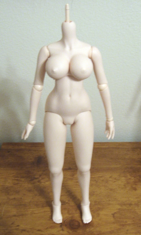 body2.jpg